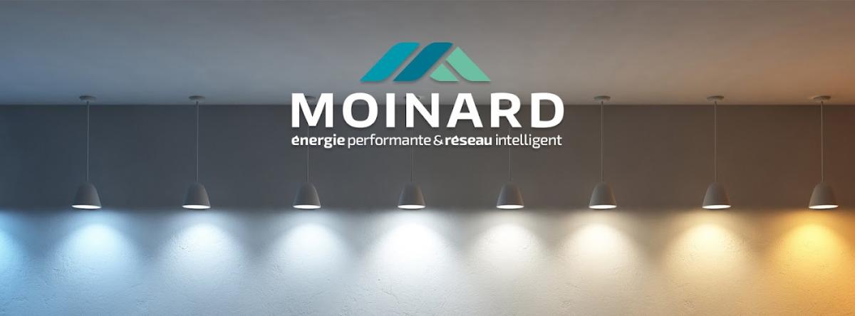 Moinard Energie - Entreprise d'électricité générale et industrielle en Vendée et à Nantes