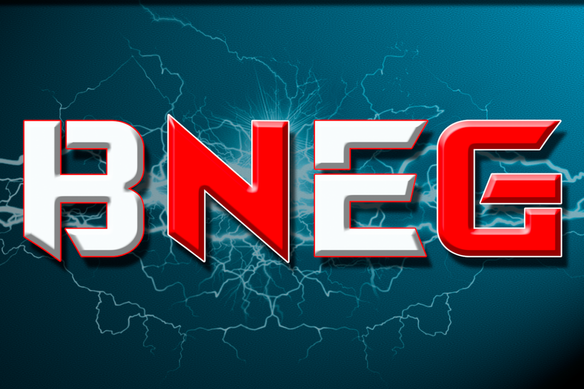 Boiteux Nicolas Electricité Générale : BNEG