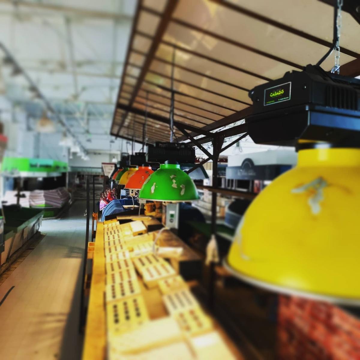 Casado Électricité