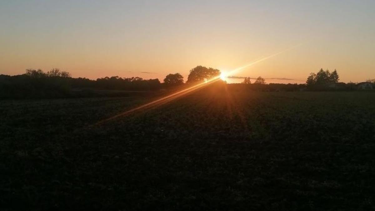 Julien Griet Électricité Générale