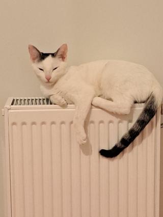 Electricien Lefebvre Patrick Jean Luc 0