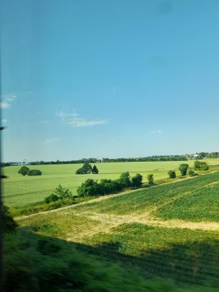 Electricien AMS Bâtiment Services 2