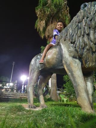 Electricien Zianielec 0