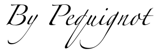 Electricien ByPequignot 0