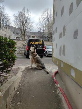 Electricien NGC ELEC 2